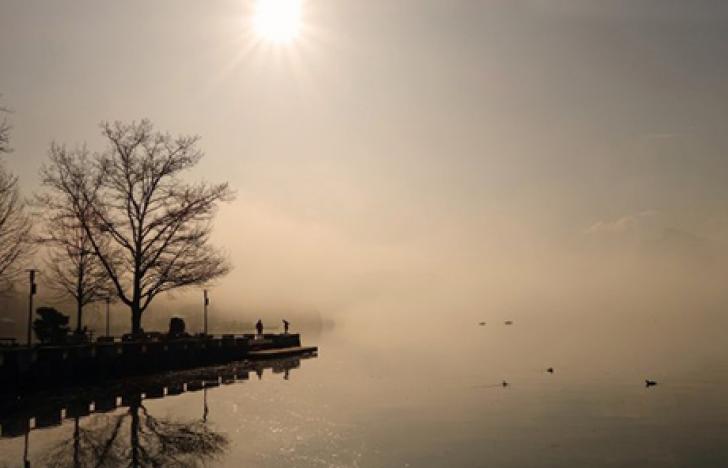 Sonnenenergie auch im Nebel