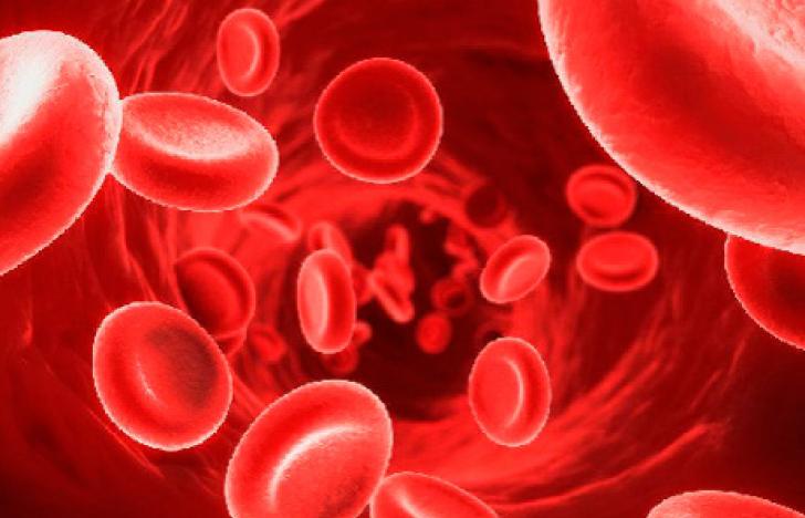 Lebensrettender Einblick in die Blutgefäße