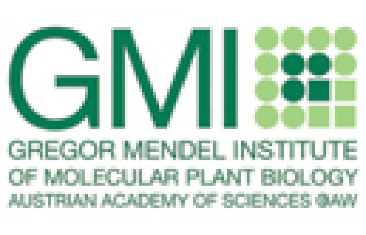 Gregor Mendel Institut
