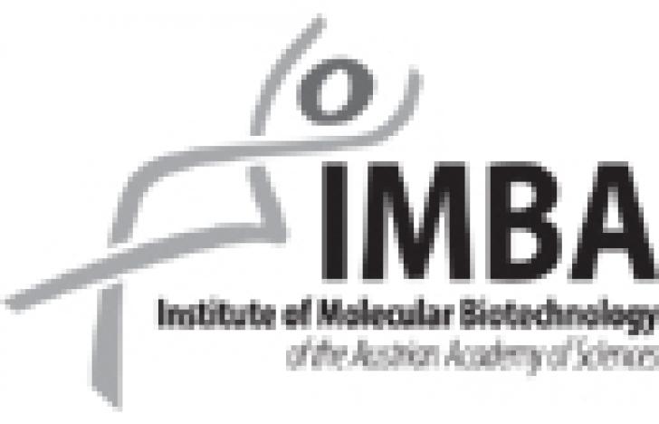 Institute of Molecular Biotechnology (IMBA)