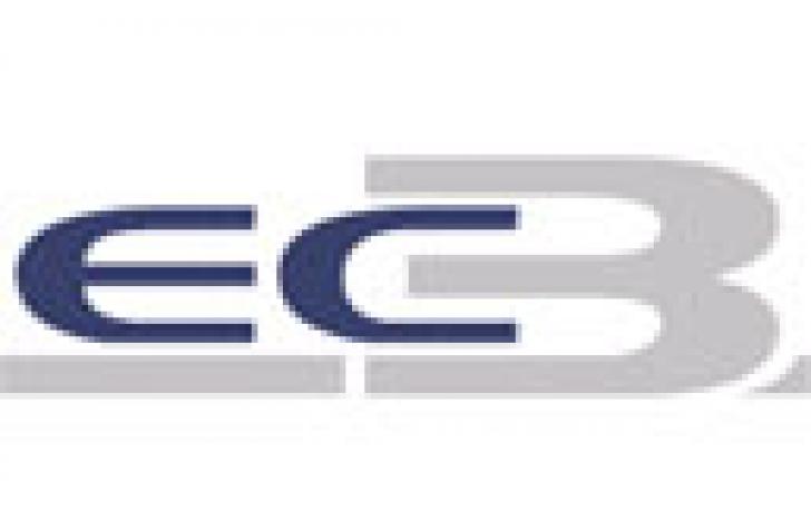 Electronic Commerce Competence Center - EC3